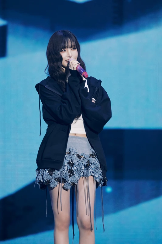 Stage photograph with a purple microphone, black jacket and silver skirt.